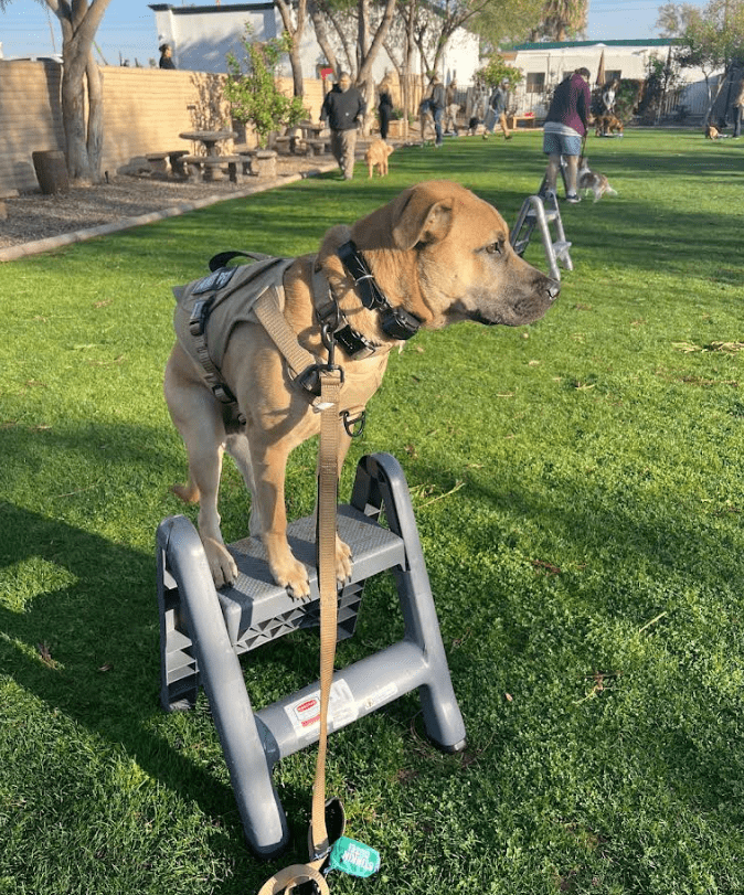 Screenshot 2025-10-24 202210