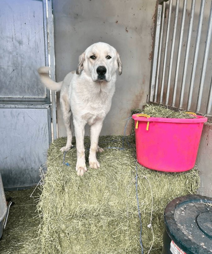 Screenshot 2025-10-24 202217