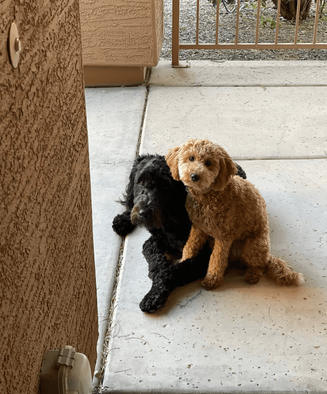 Screenshot 2025-10-24 202226