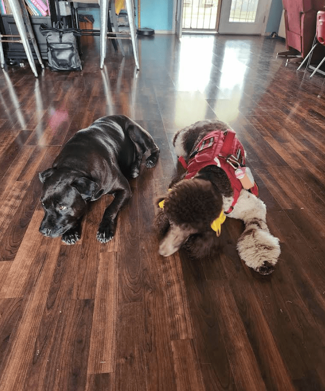 Screenshot 2025-10-24 202233