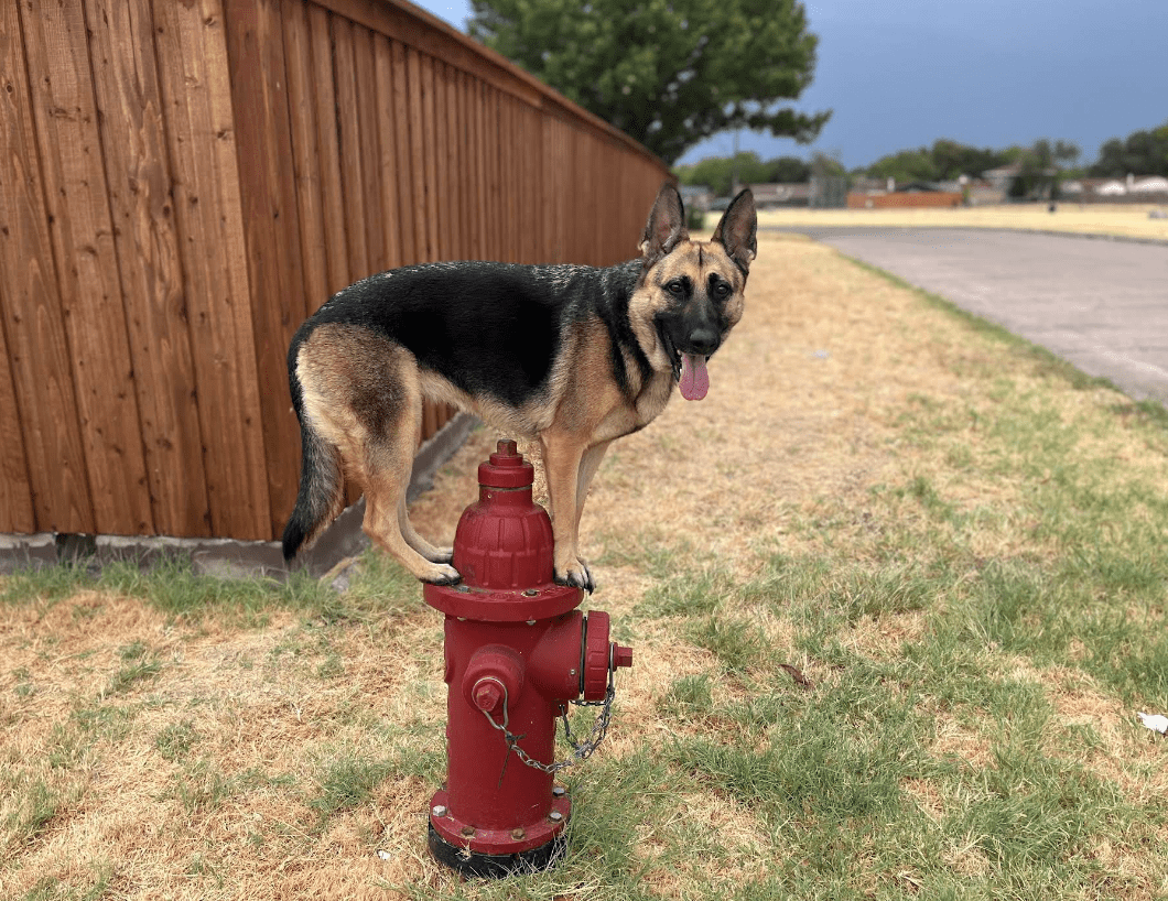 Screenshot 2025-10-24 202244