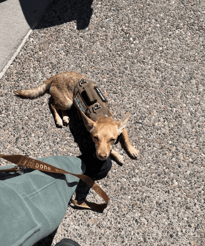 Screenshot 2025-10-24 202306