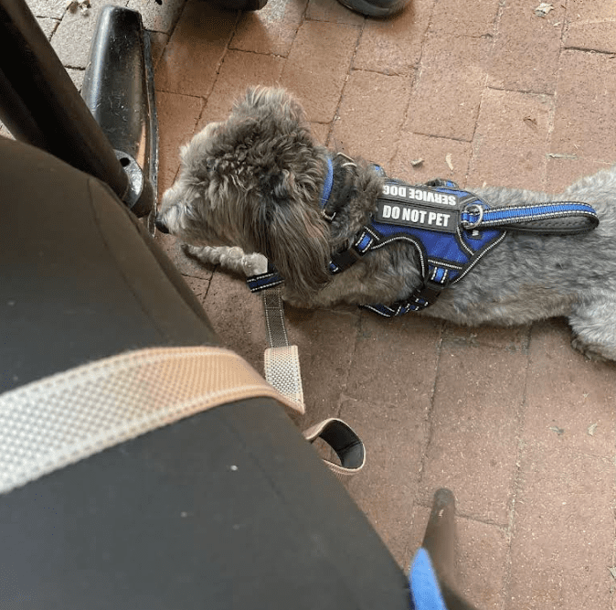 Screenshot 2025-10-24 202317