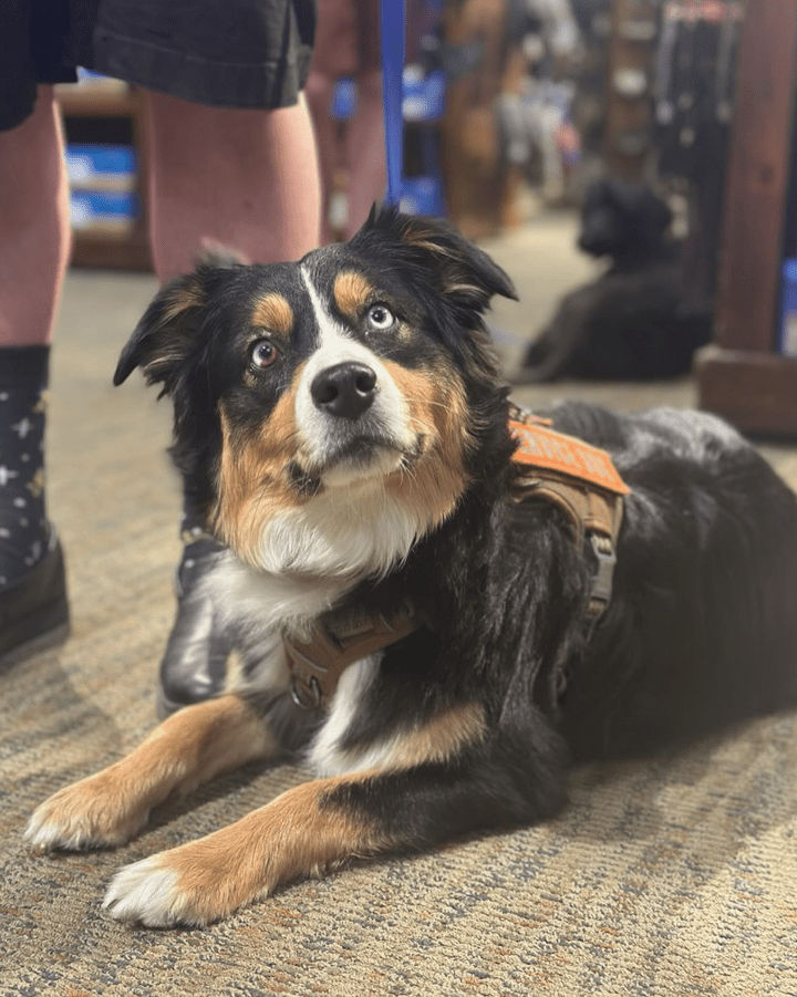 Screenshot 2025-10-24 202447