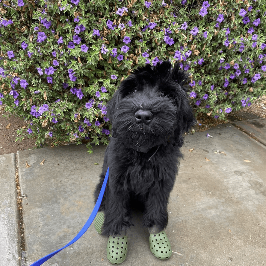 Screenshot 2025-10-24 202456